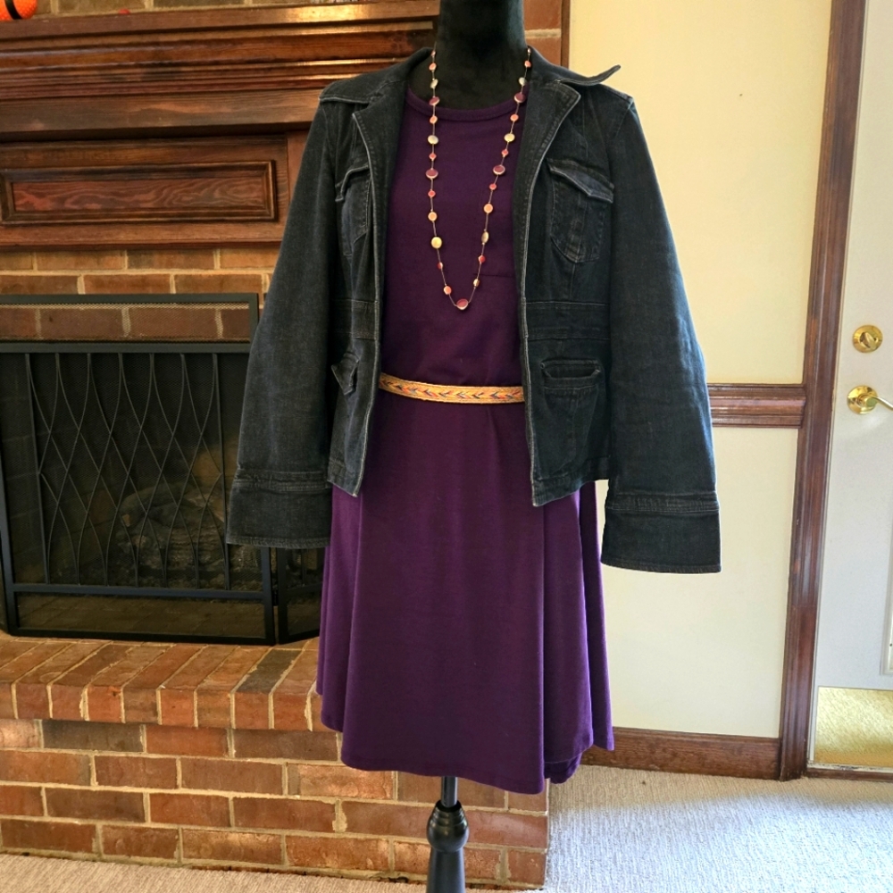 LuLaRoe XXS solid plum purple Carly Hi-Lo dress (dress only)